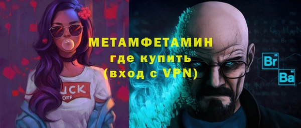 прущие грибы Вязники