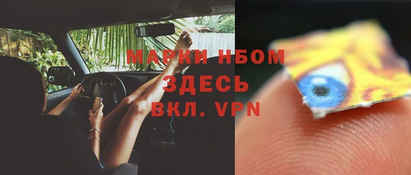 прущие грибы Вязники