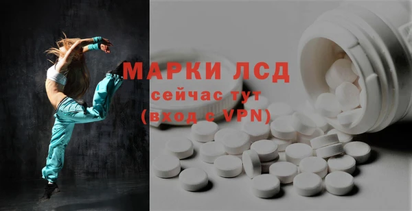 прущие грибы Вязники