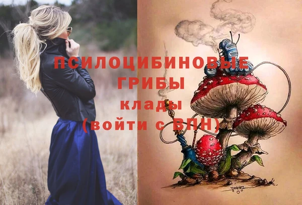 спайс Вяземский