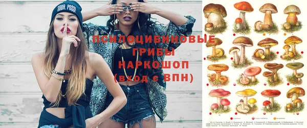 прущие грибы Вязники