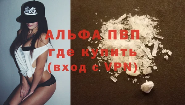 сатива Вязьма