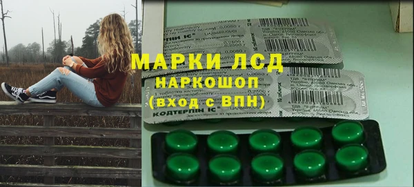 прущие грибы Вязники