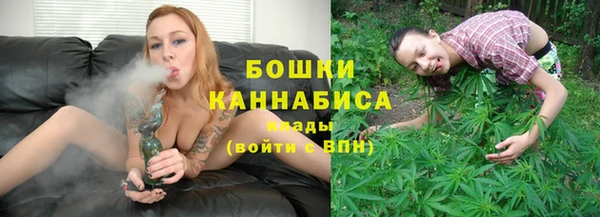 сатива Вязьма