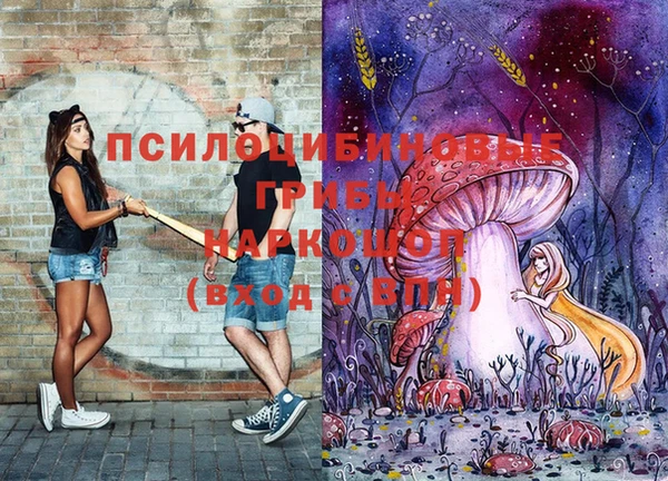 прущие грибы Вязники