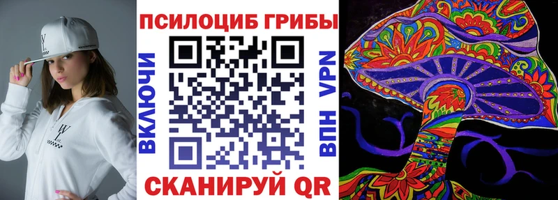закладка  Курск  Псилоцибиновые грибы GOLDEN TEACHER 